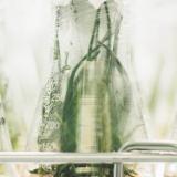 biotechnology image